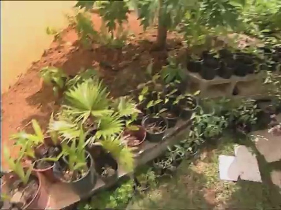 Ekolo Kay - Un jardin pas comme les autres