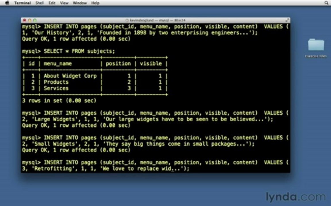 13.07.Populating the relational table
