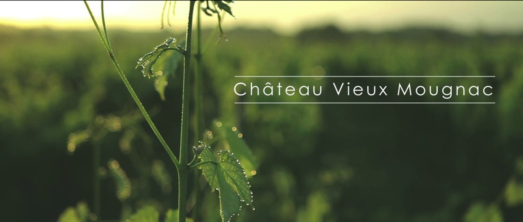 Château Vieux Mougnac - Film de présentation (english subtitles)