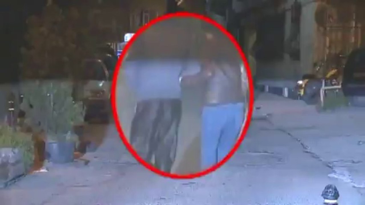 gonca vuslateri 2