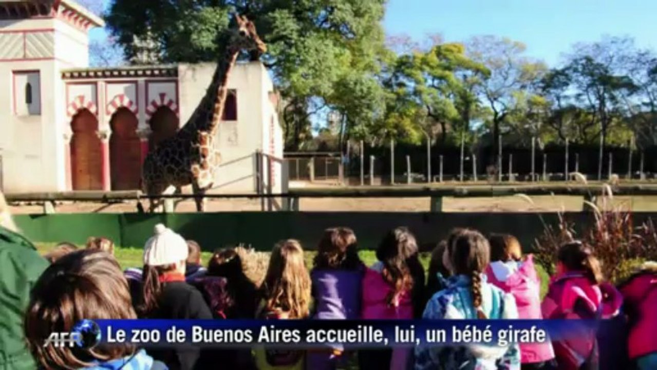 Un nouveau bébé girafe et des jumeaux pandas