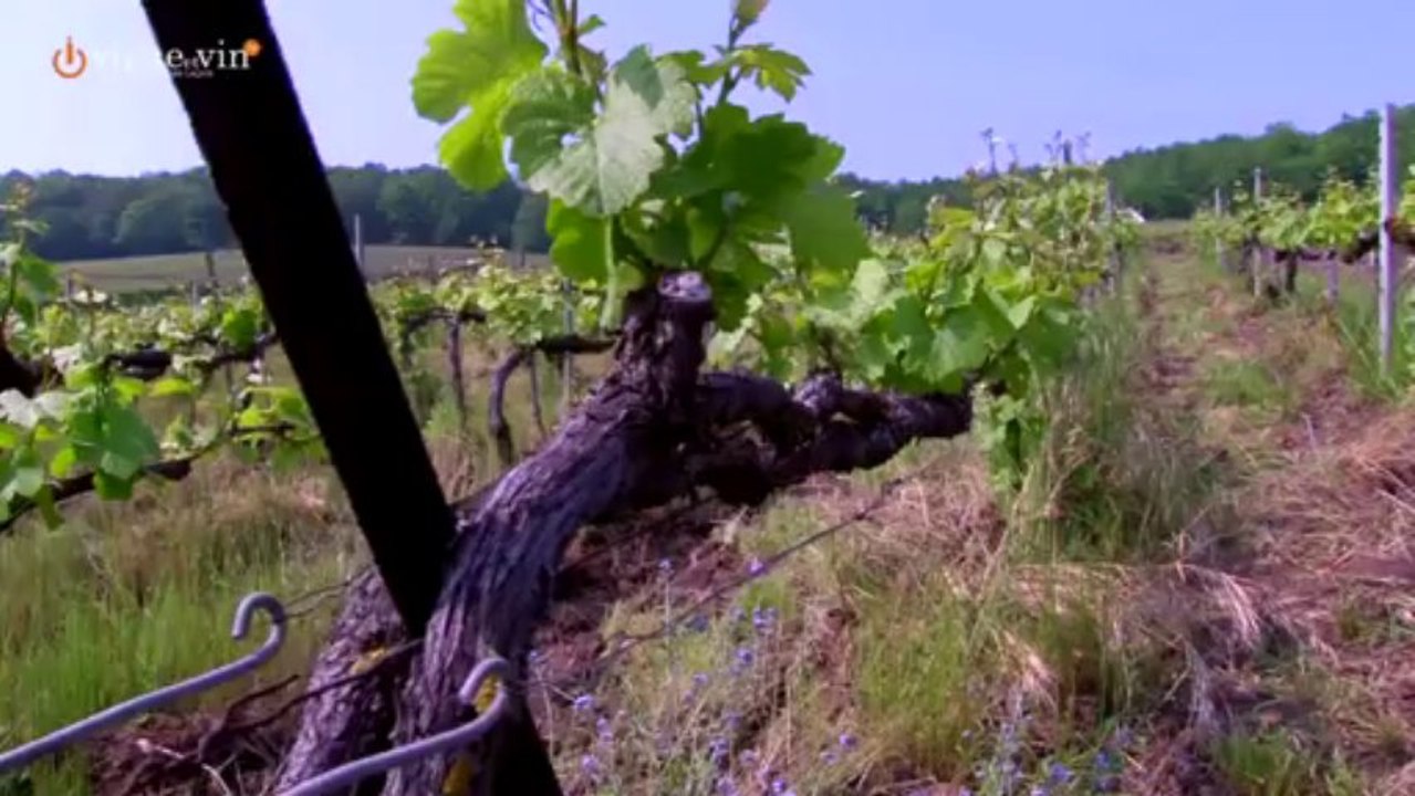 Jacques Legros au Champagne Paul Bara du Club Trésors de Champagne