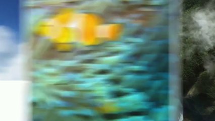 Petite Annonce Poisson à vendre au Québec - Aubaine.ca