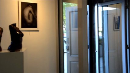 Gérald Svoboda. Galerie Mary Ann. Macon 2013