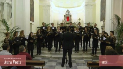 Corale Polifonica Aura Vocis - HUSH