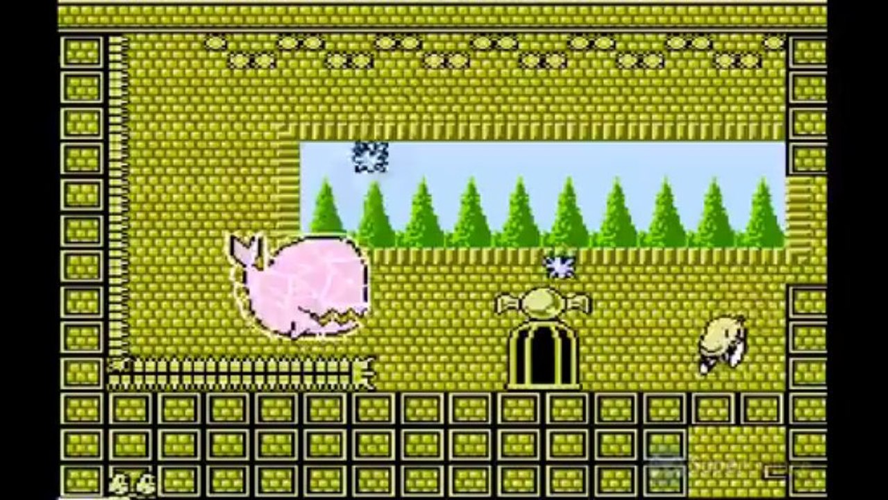 Kiwi Kraze : Un kiwi peut en sauver d’autre