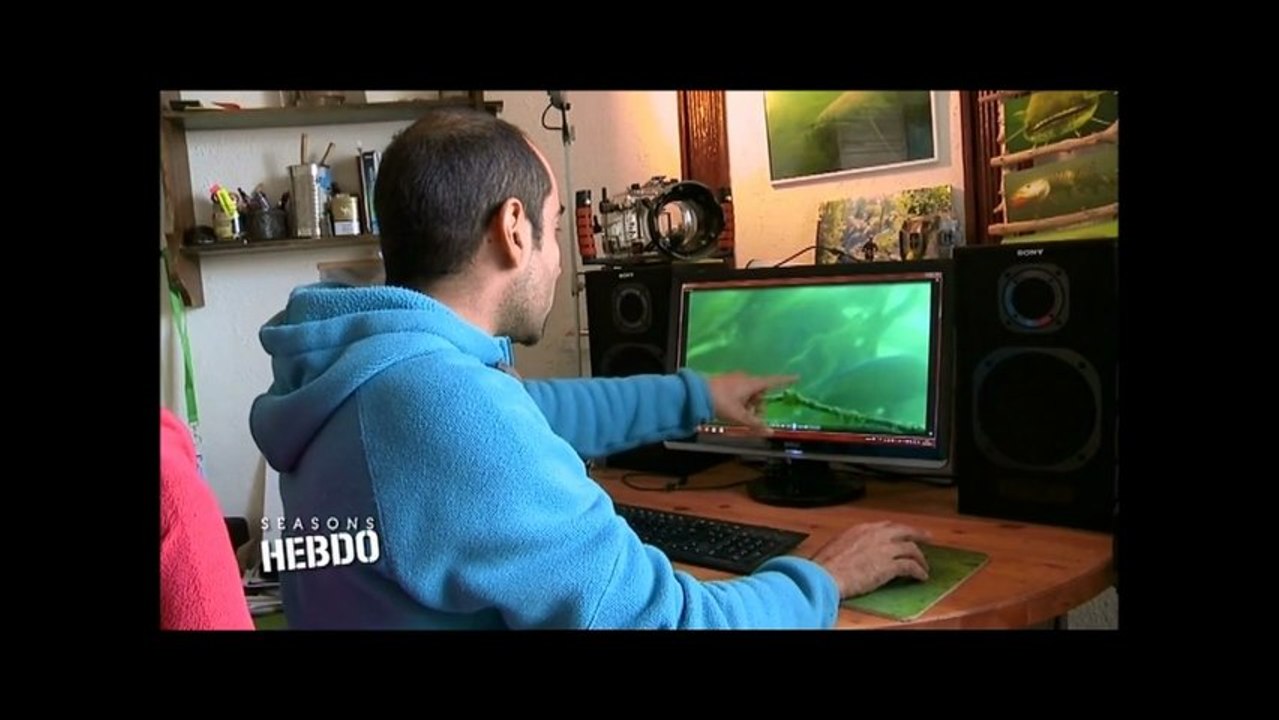 Filfish sur Seasons
