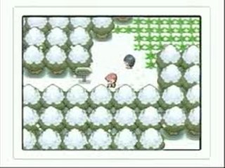 pokemon perle et diamant