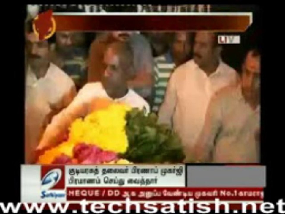 Vaali Body