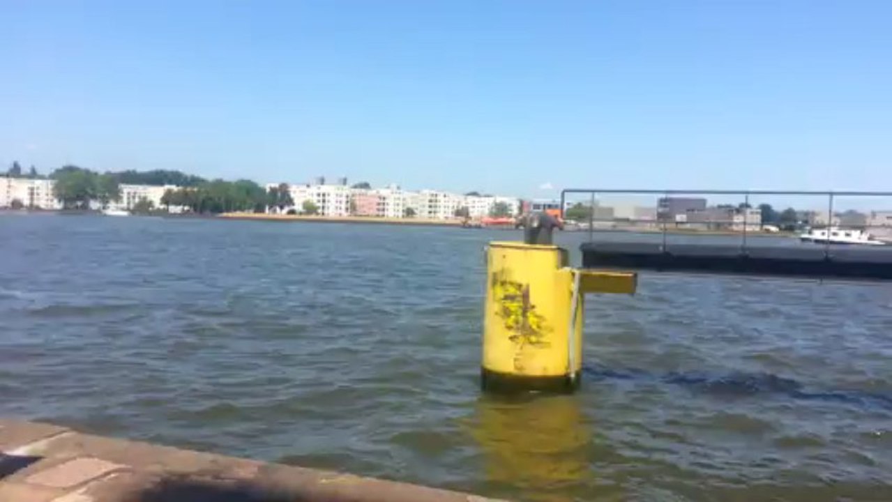 20130718_135927