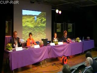 Colloque RdR en milieu rural - Intervention de M. Jean-Pierre Couteron