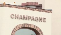 Dégustation Terreeetvigne.com au Champagne Salmon du Club Trésors de Champagne