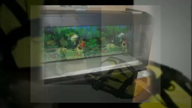 Petite annonce accessoires animaux à vendre au québec usagé à vendre