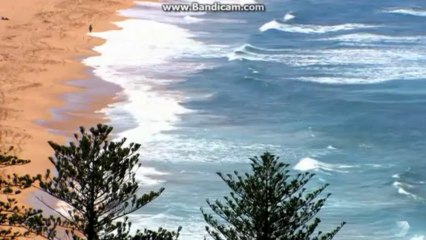 heath and bianca 5783