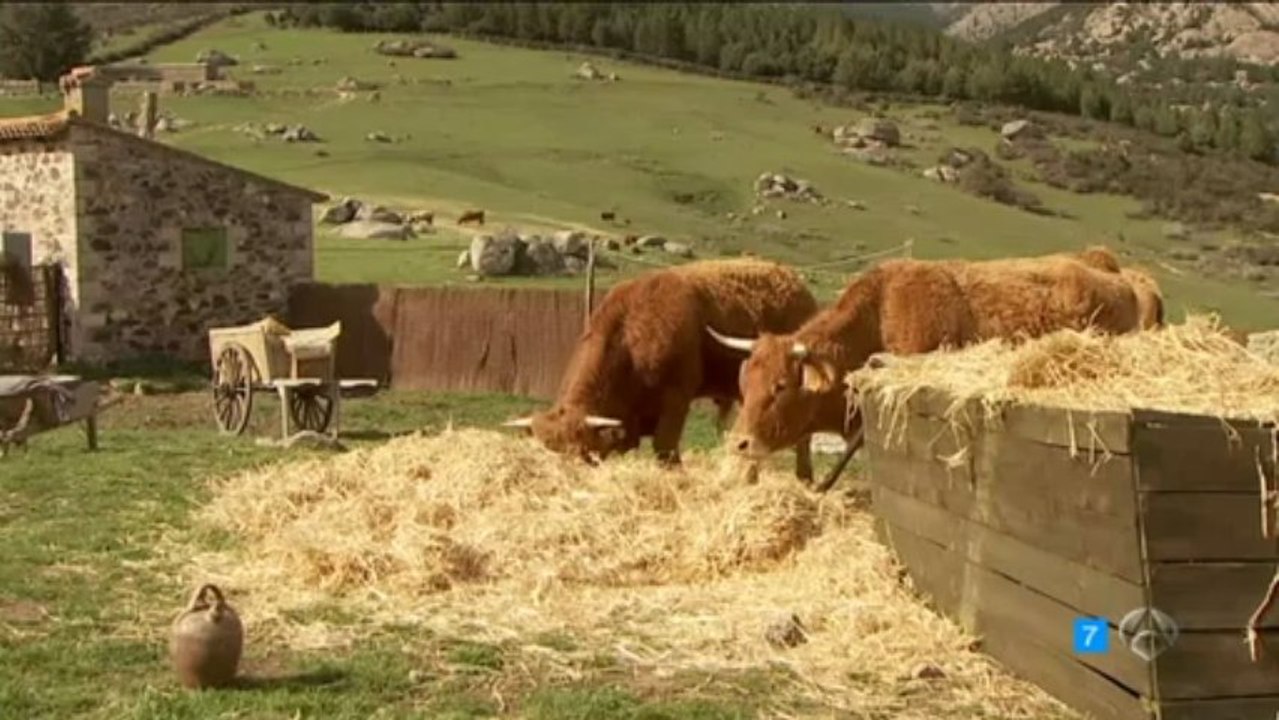 MARTIN MARIA NO PIENSO ALEJARME DE AQUI ESDPV 17-07-2013