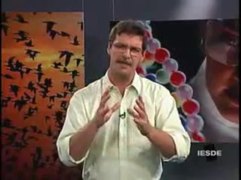BIOLOGIA AULA 21 -- SISTEMA SENSORIAL ÓRGÃO DOS SENTIDOS Parte 1  - YouTube