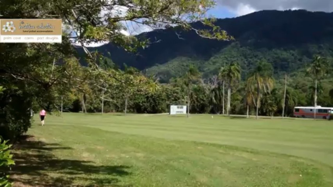 Golf Palm Cove