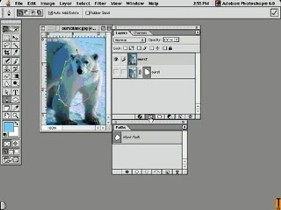 photoshop - Trace vecto pour selection