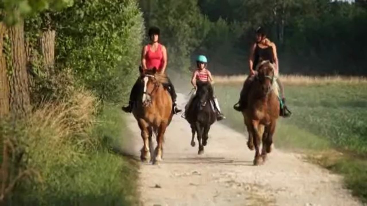 trotting