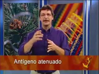 BIOLOGIA AULA 23 - IMUNOLOGIA Parte 2  - YouTube