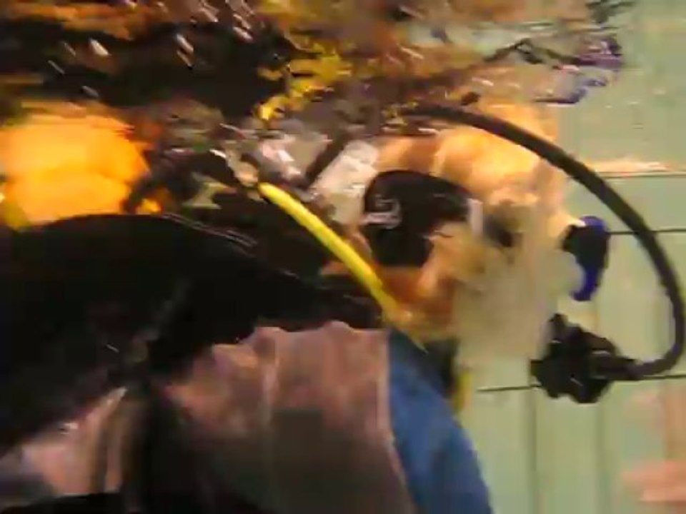 PADI : SCUBACOOL école de plongée : Discover Scuba Diving PADI 2