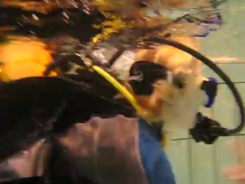 PADI : SCUBACOOL école de plongée : Discover Scuba Diving PADI 2