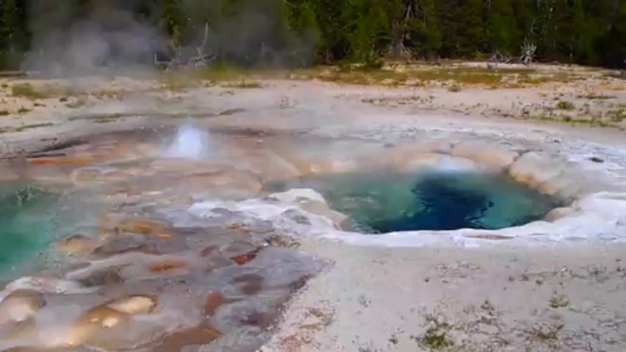 Spamodic geyser (Yellowstone)