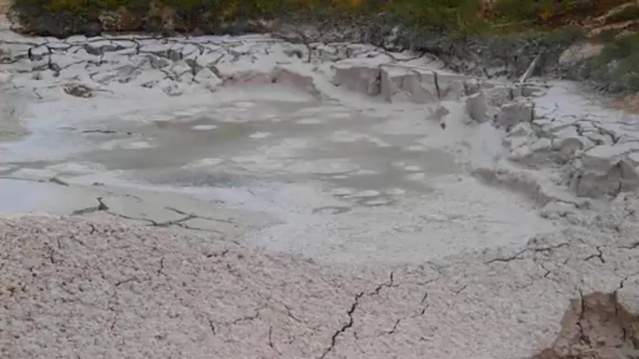 artist paint pot (yellowstone)