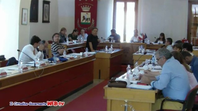 Consiglio comunale 8 luglio 2013 Punto 1 mozione lavoratori ecx LSU intervento Crescentini