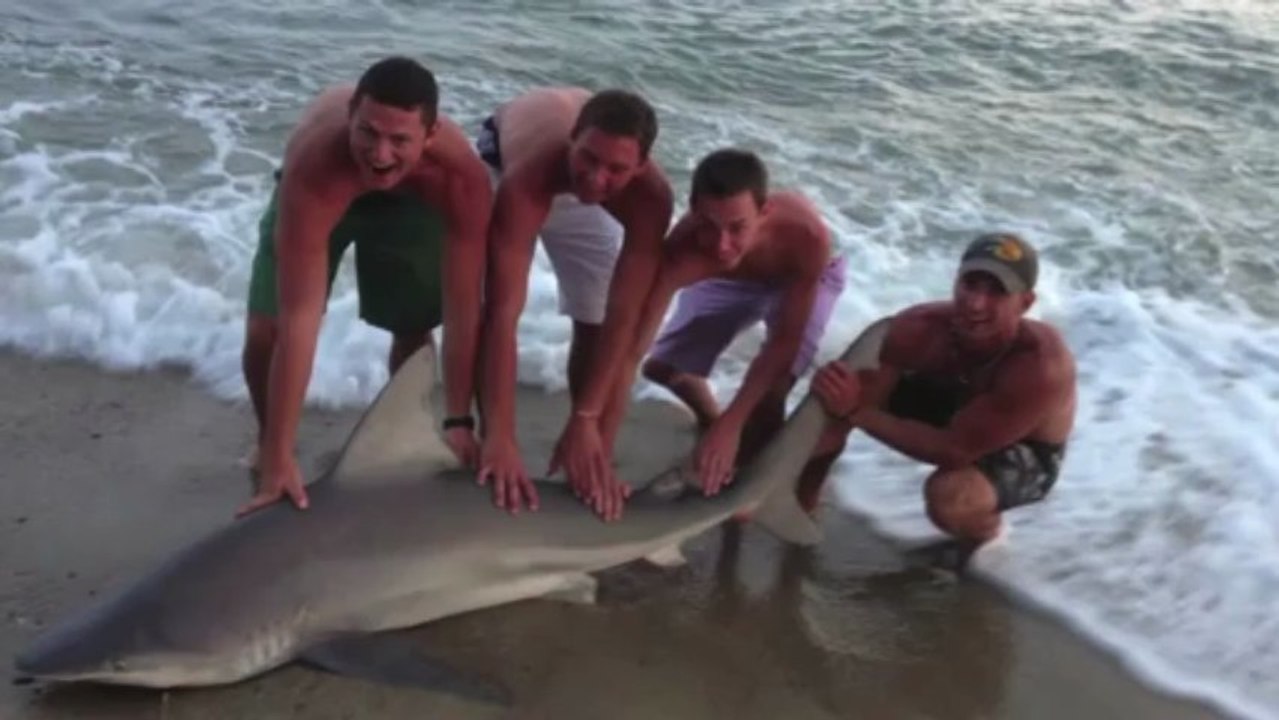 Man wrestles shark with bare hands - video Dailymotion