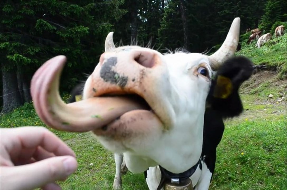 Promenade sur les Dents