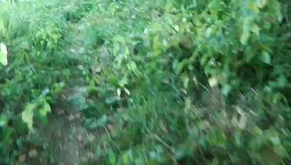 parcours du trail de l'EMG