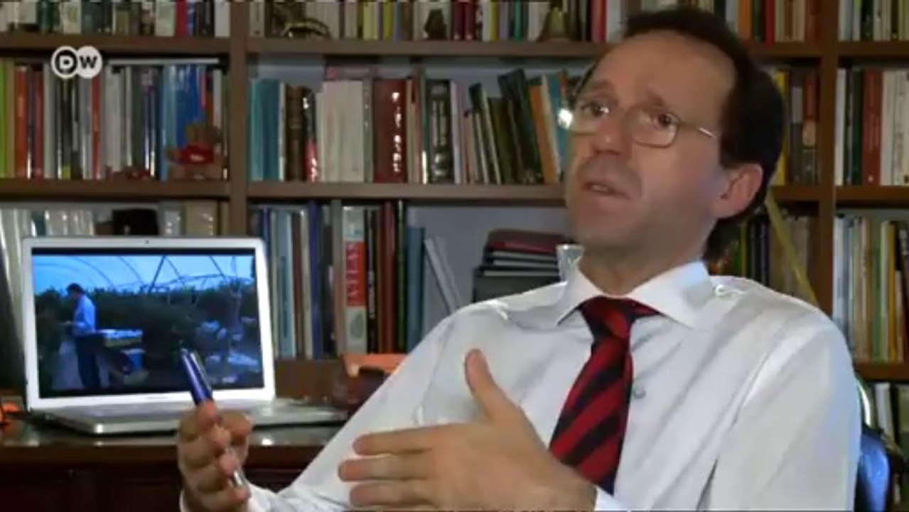 Portugal: algarve sucht arbeitskräfte | europa aktuell