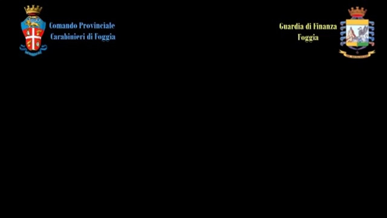 Foggia - Truffe Inps, aziende create ad hoc per assumere falsi braccianti, arrestati (17.07.13)