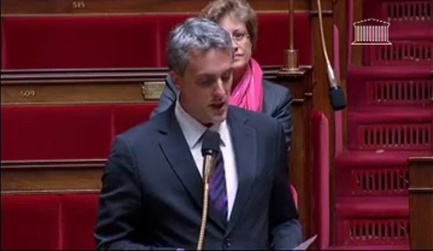 Question orale sans débat du député Sébastien Denaja au Ministre de la mer - mardi 25 juin 2013
