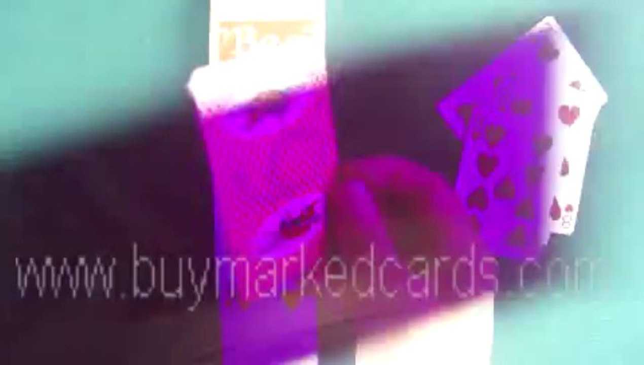 with bee on the back