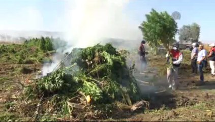 Zehir tacirlerine geçit yok