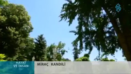 Mirac Kandili - Hayat ve İnsan