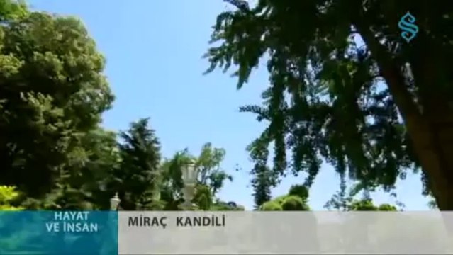 Mirac Kandili - Hayat ve İnsan