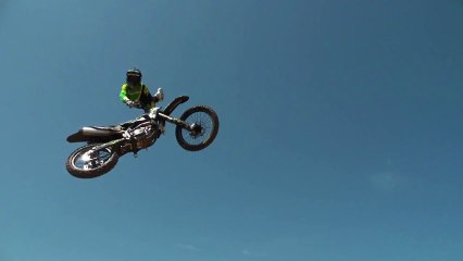 Dirt Shark- Potters with TAKA & BILKO