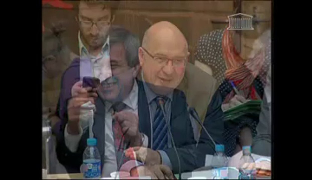 2 juillet 2013 - Commission des affaires économiques avec Cécile Duflot