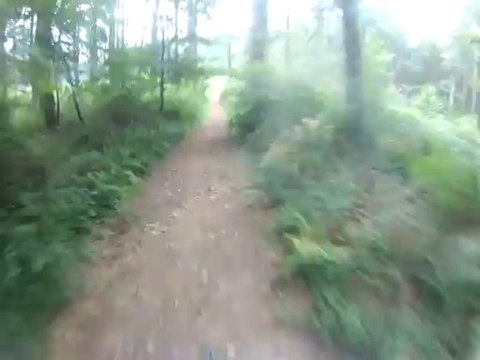 VTT - Petite descente bois du commandeur
