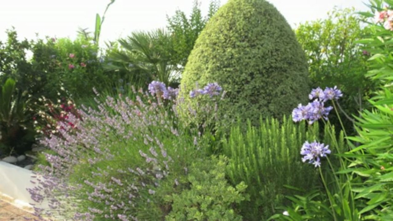 A vendre APPARTEMENT sur le toit 98 m² - Mandelieu 06210 - Piscine - Vue panoramique - 100 m² Terrasse - 100 m² Jardin