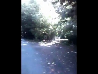 If you're alone here and you hear something.. The only thing you do is run and yell.