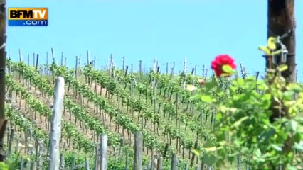 Les plus beaux villages de France: Riquewihr en Alsace - 18/07