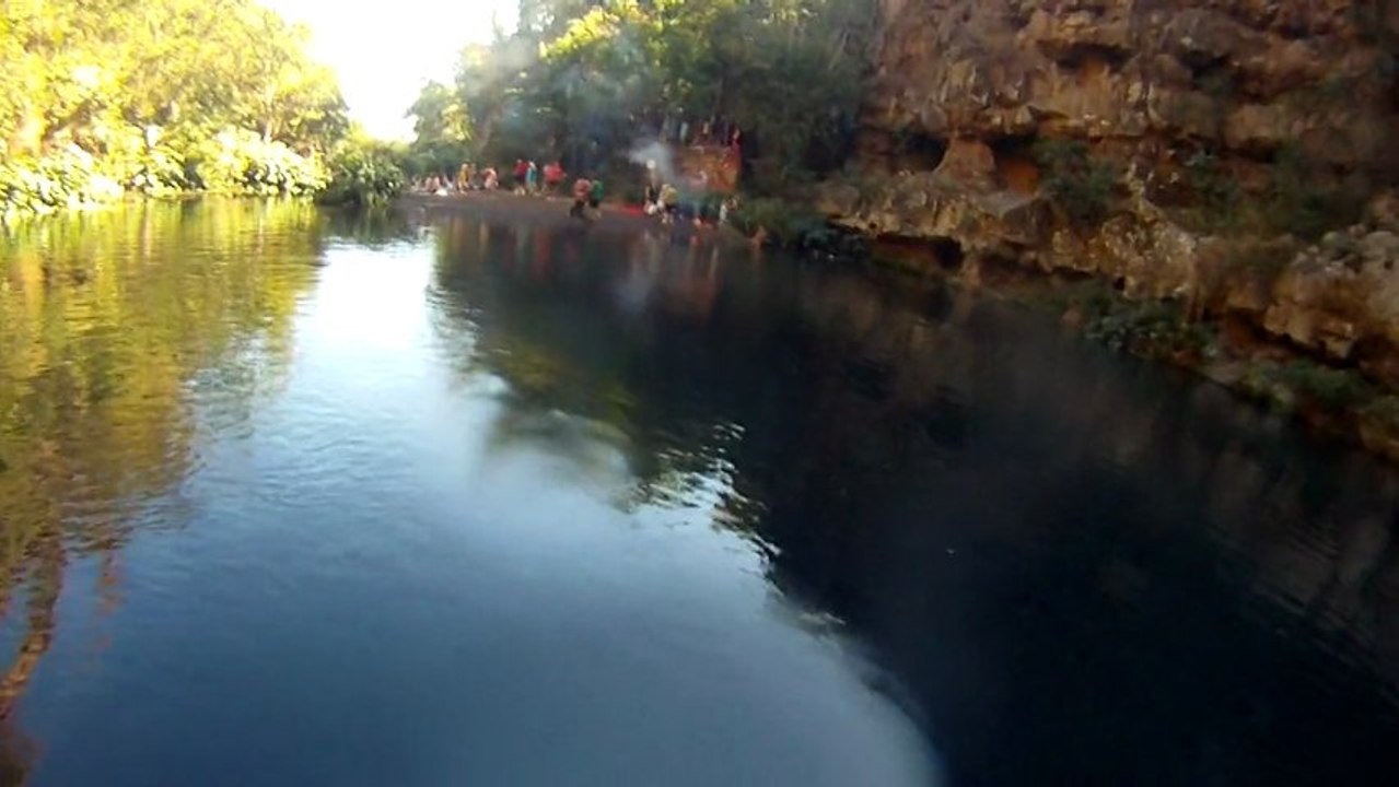 plongeon1