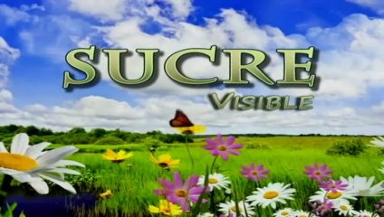 SUCRE VISIBLE JULIO 17 DE 2013