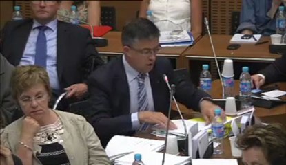 Download Video: 17 juillet 2013, Bertrand Pancher en commission de développement durable, interroge Stéphane Le Foll, Ministre de l'agriculture sur l'agro-écologie