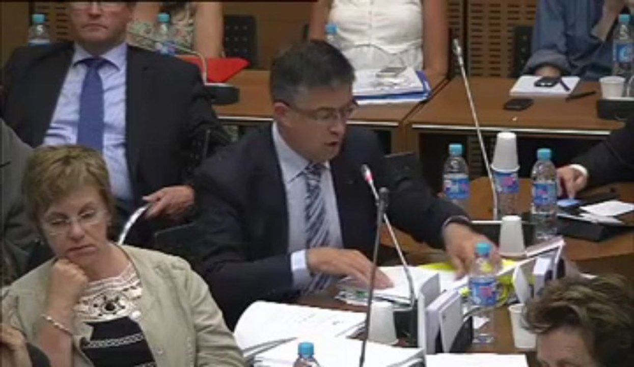 17 juillet 2013, Bertrand Pancher en commission de développement durable, interroge Stéphane Le Foll, Ministre de l'agriculture sur l'agro-écologie