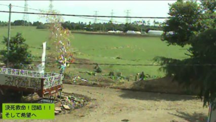 2013-07-10 09-38 朝の牧場　ナナちゃん